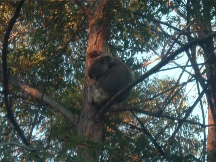 Sixth view of Homely apartment listing, Address available on request