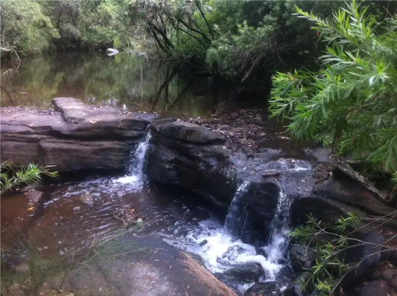 Main view of Homely land listing, 656 Yabbra Road, Yabbra NSW 2469