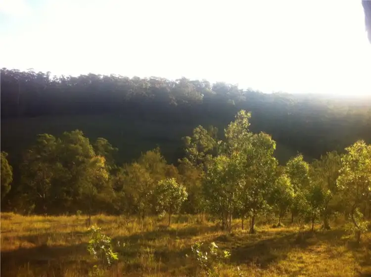 Third view of Homely land listing, 656 Yabbra Road, Yabbra NSW 2469