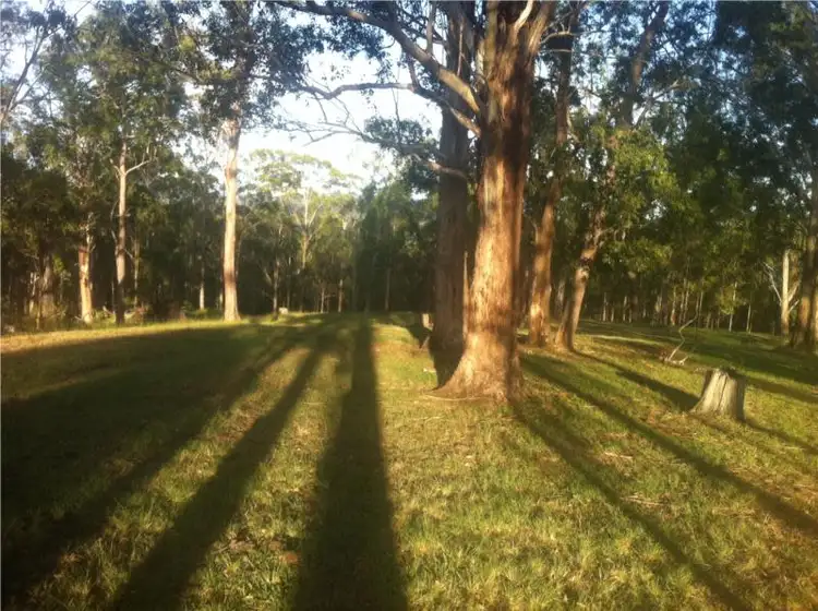 Fourth view of Homely land listing, 656 Yabbra Road, Yabbra NSW 2469