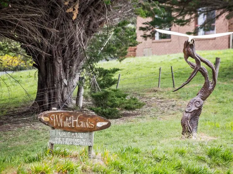 Main view of Homely rural property listing, 785 Great Ocean Road, Apollo Bay VIC 3233