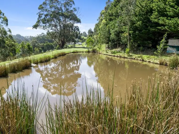 Fifth view of Homely rural property listing, 785 Great Ocean Road, Apollo Bay VIC 3233