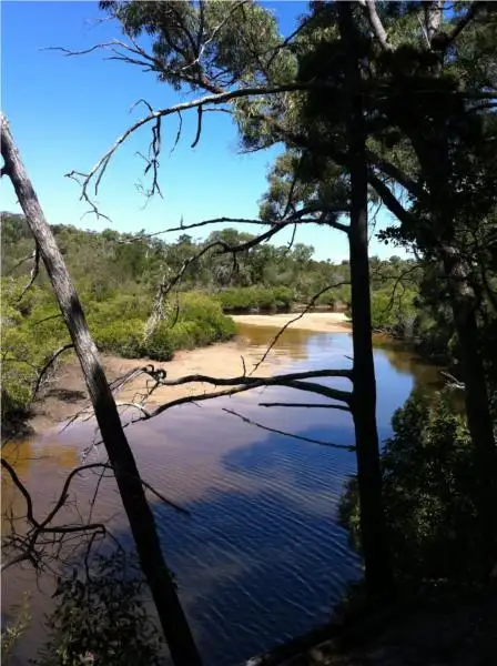 Main view of Homely land listing, 133 Davenport Drive, Coonarr QLD 4670