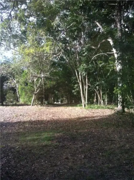 Third view of Homely land listing, 133 Davenport Drive, Coonarr QLD 4670