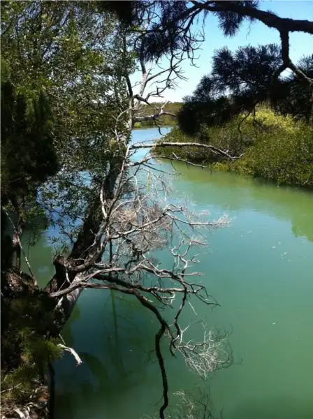 Seventh view of Homely land listing, 133 Davenport Drive, Coonarr QLD 4670