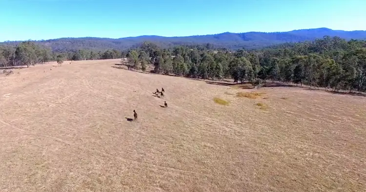 Main view of Homely rural property listing, 4053 Paddys Flat Road, Upper Tooloom NSW 2475