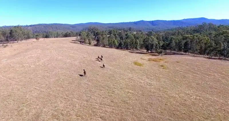 Main view of Homely rural property listing, 4053 Paddys Flat Road, Upper Tooloom NSW 2475