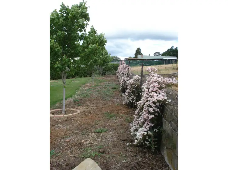 Seventh view of Homely land listing, 2A Bridge Street, Ross TAS 7209