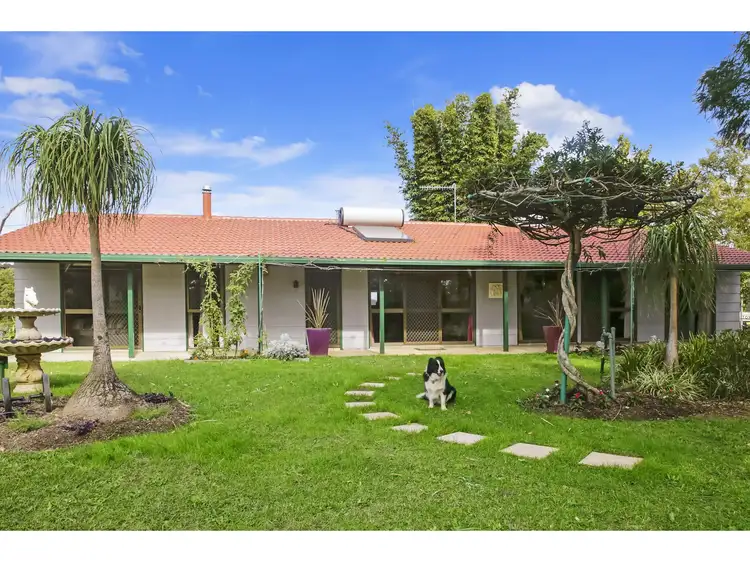 1647 Rollands Plains Road, Rollands Plains NSW 2441