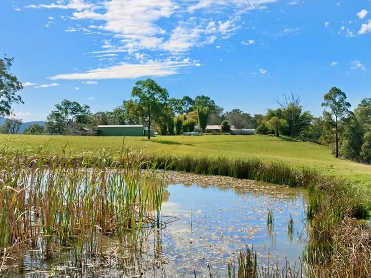 Third view of Homely rural property listing, 1647 Rollands Plains Road, Rollands Plains NSW 2441