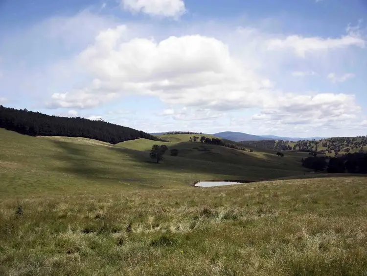 390 Kangaroo Track, Cassilis VIC 3898