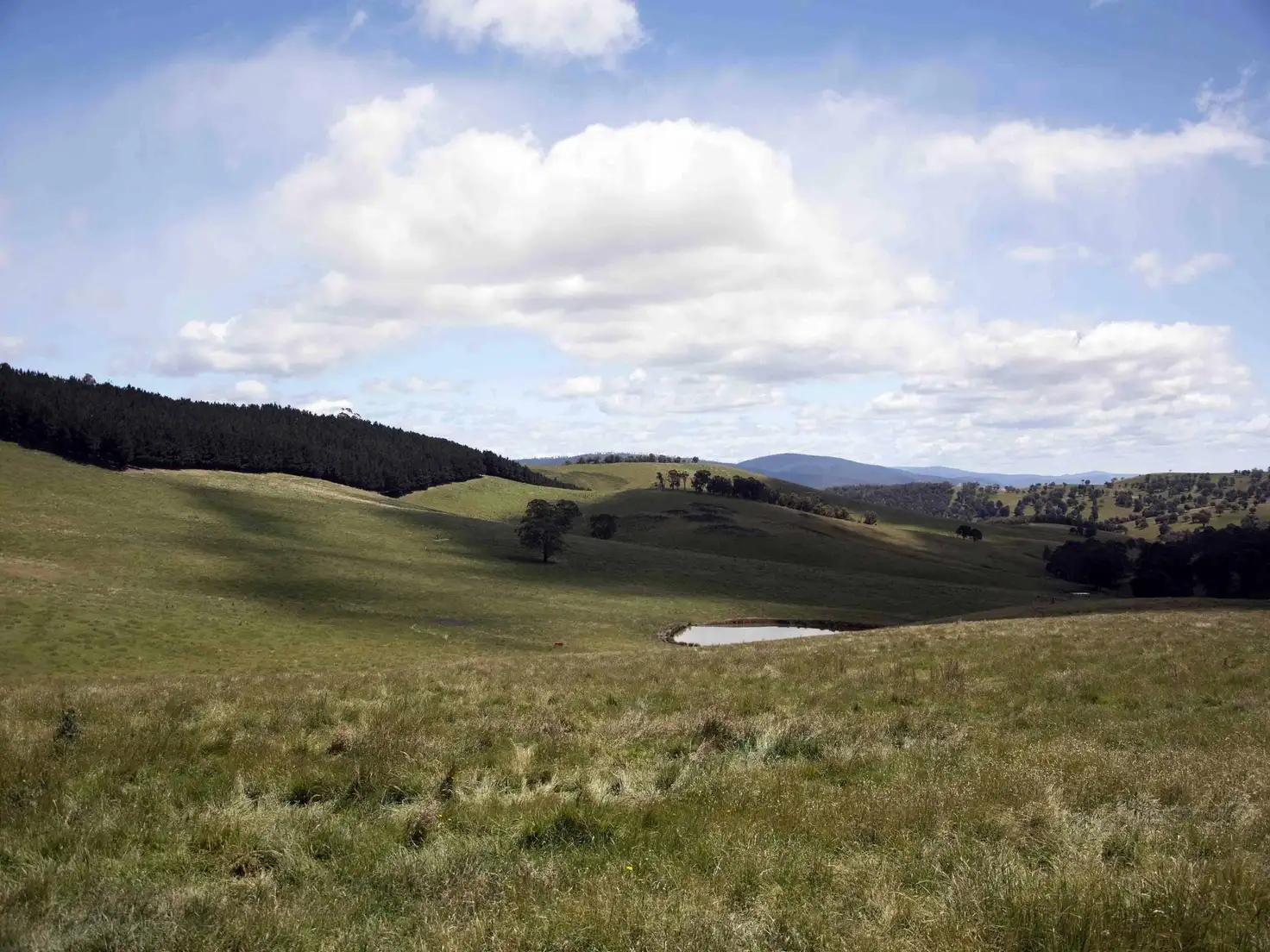 Main view of Homely rural property listing, 390 Kangaroo Track, Cassilis VIC 3898