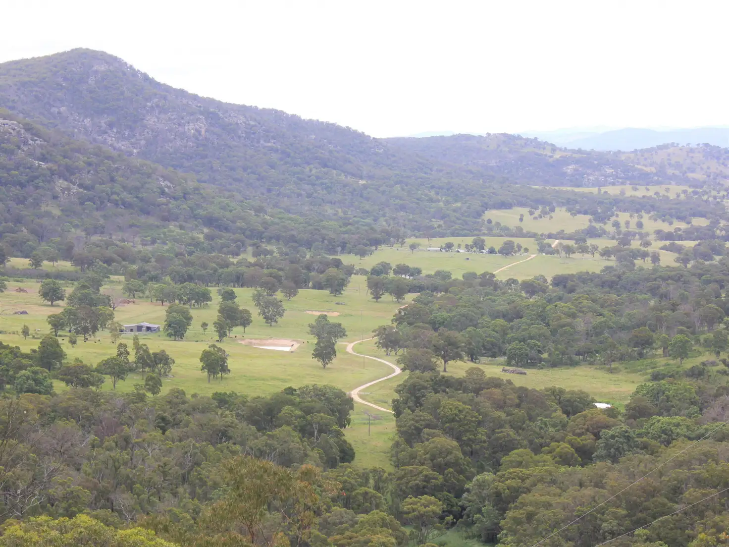 Main view of Homely rural property listing, 664 Currs Road, Bolivia NSW 2372