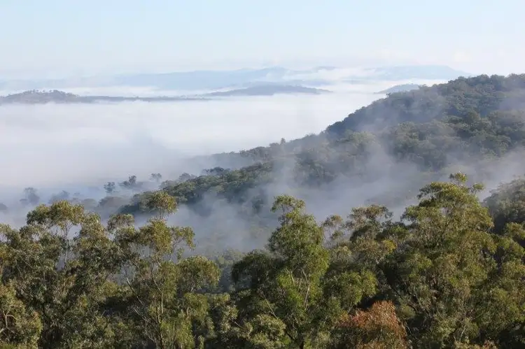 Second view of Homely rural property listing, 664 Currs Road, Bolivia NSW 2372