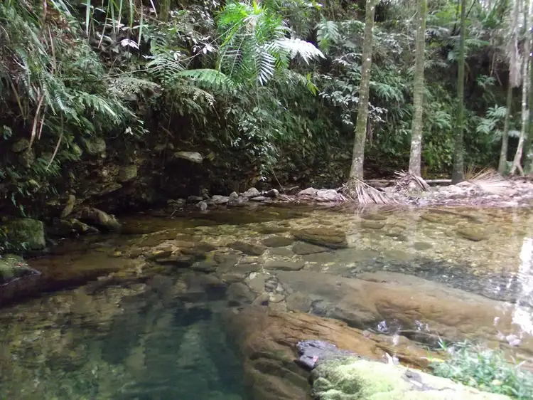 lot 8 thorntonpeak drive, Forest Creek QLD 4873