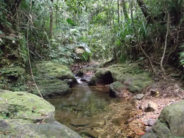 Third view of Homely land listing, lot 8 thorntonpeak drive, Forest Creek QLD 4873
