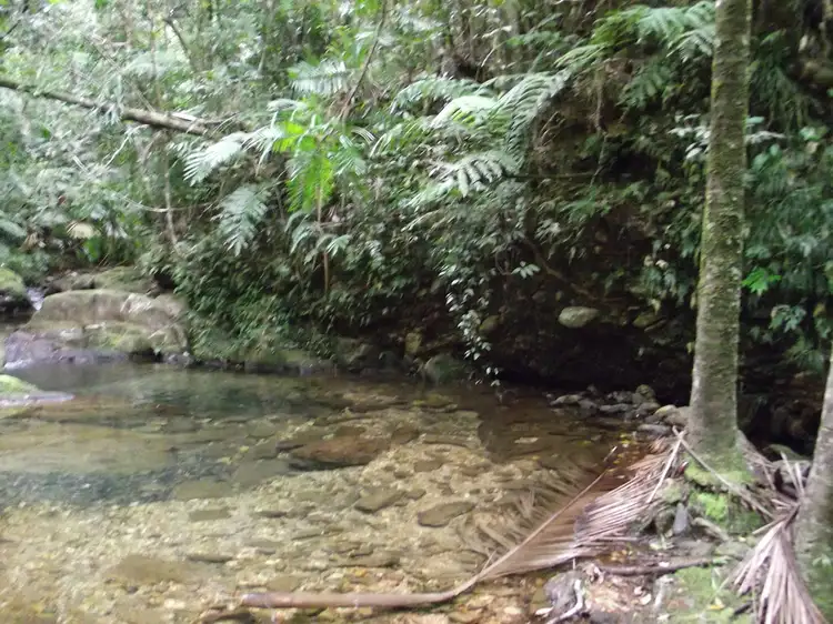 Fourth view of Homely land listing, lot 8 thorntonpeak drive, Forest Creek QLD 4873