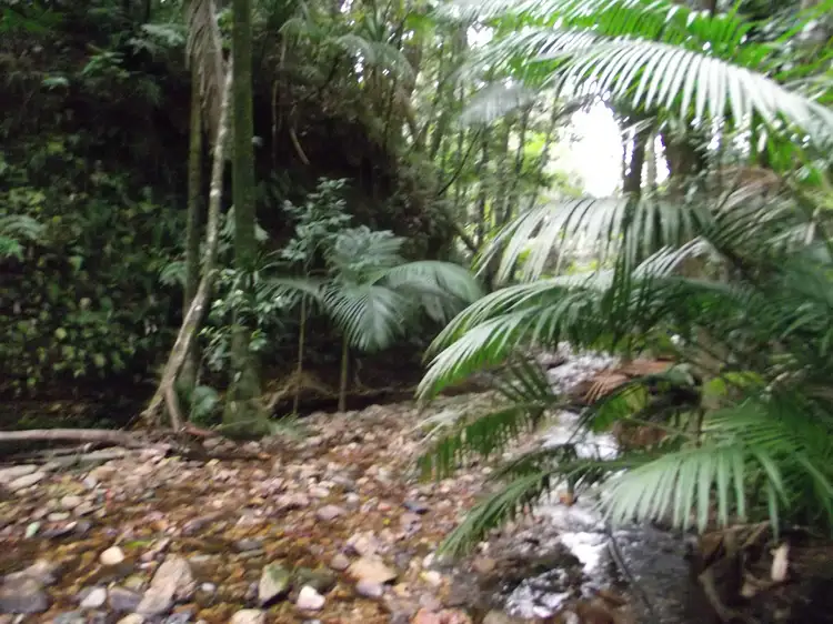Fifth view of Homely land listing, lot 8 thorntonpeak drive, Forest Creek QLD 4873