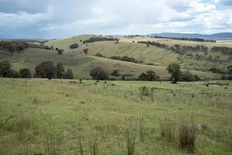 Seventh view of Homely land listing, 63 Leonard Drive, Omeo VIC 3898
