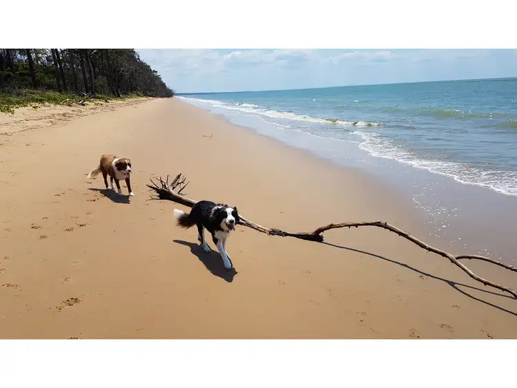 Main view of Homely land listing, 3 Dundowran Beach Esplanade, Dundowran Beach QLD 4655
