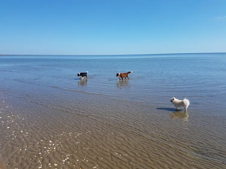 Sixth view of Homely land listing, 3 Dundowran Beach Esplanade, Dundowran Beach QLD 4655