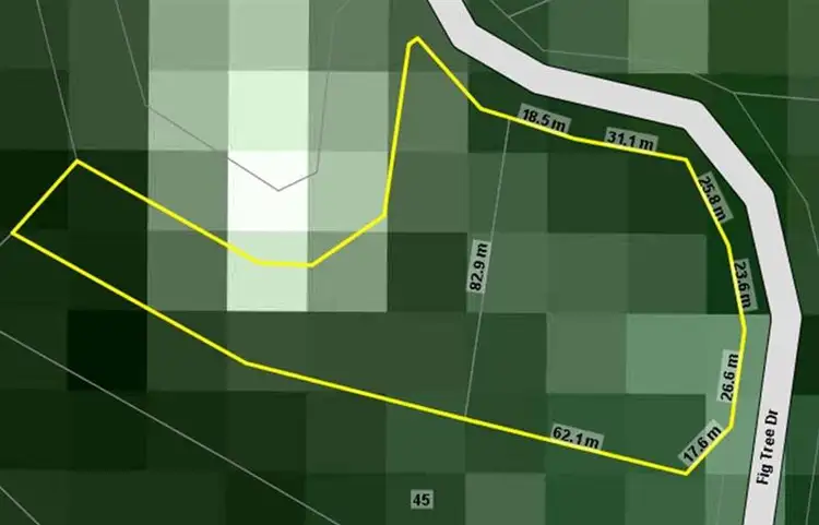 Fifth view of Homely house listing, 49-51 Fig Tree Drive, Caravonica QLD 4878