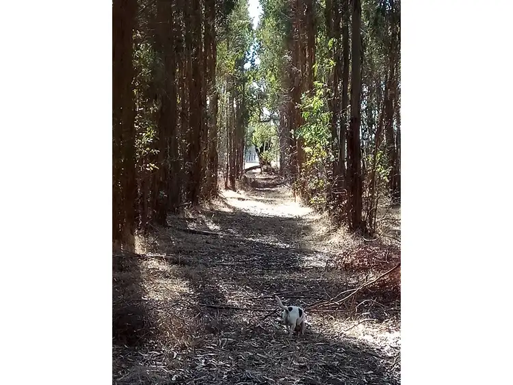 Fourth view of Homely land listing, 5 Bartlett Close, Mount Barker WA 6324