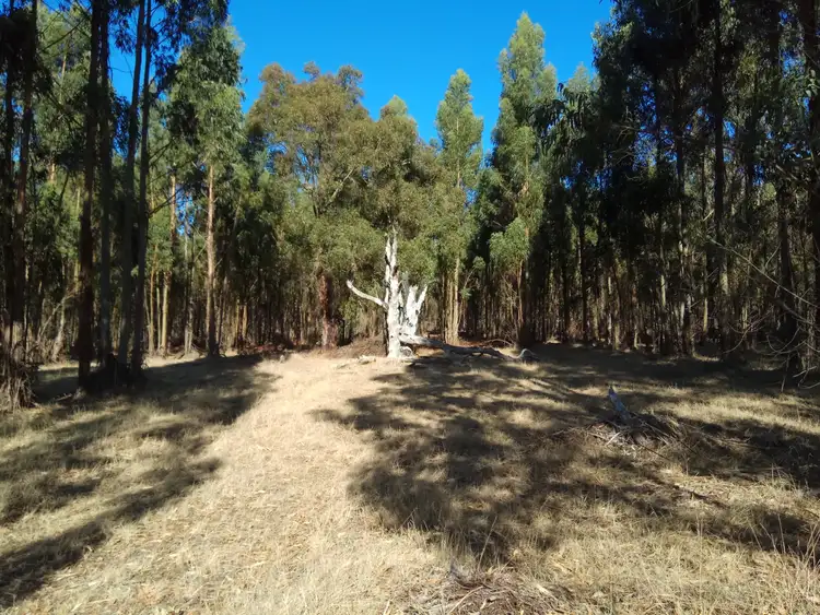 Fifth view of Homely land listing, 5 Bartlett Close, Mount Barker WA 6324