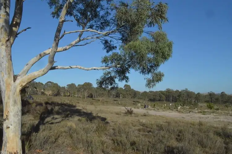 Main view of Homely land listing, 62 Rowley Road, Sutton NSW 2620