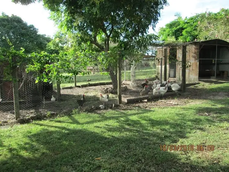 Third view of Homely rural property listing, 29 Fig Tree Terrace, Meadowvale QLD 4670