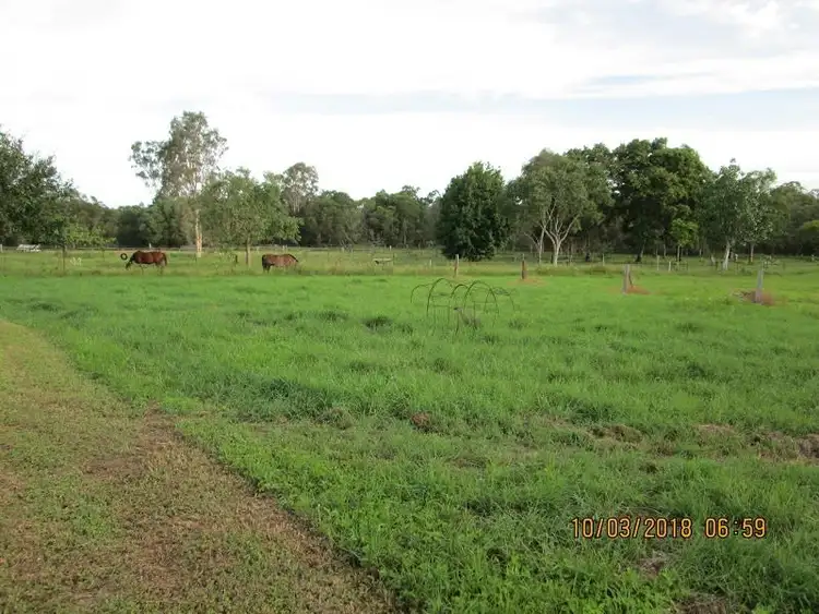 Sixth view of Homely rural property listing, 29 Fig Tree Terrace, Meadowvale QLD 4670