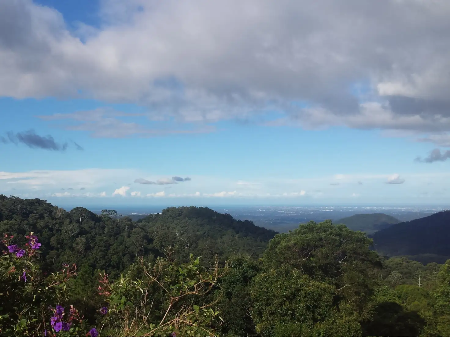 Main view of Homely house listing, 2/1814 Mt Glorious Road, Mount Glorious QLD 4520