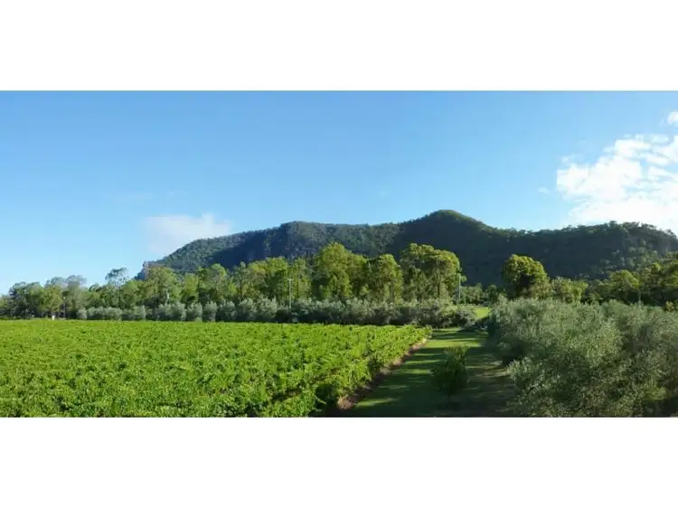 123 Milbrodale Road, Milbrodale NSW 2330