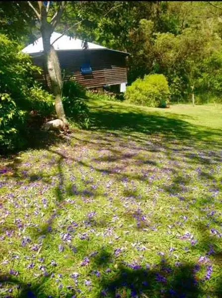 Second view of Homely rural property listing, 2925 Nerang Murwillumbah Rd, Natural Bridge QLD 4211