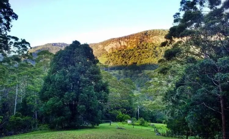 Third view of Homely rural property listing, 2925 Nerang Murwillumbah Rd, Natural Bridge QLD 4211