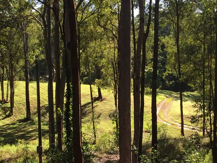 Seventh view of Homely rural property listing, 241 Lanita Road, Ferny Hills QLD 4055