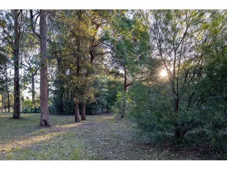 Third view of Homely house listing, 16 Moondara Drive, Bangalee NSW 2541