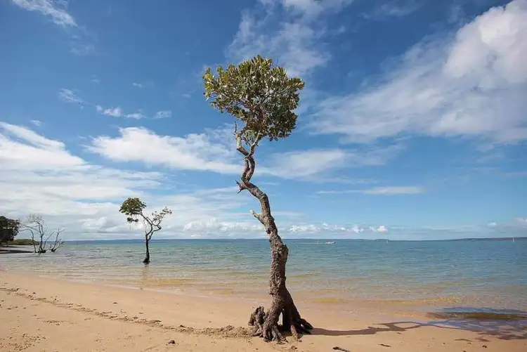 Seventh view of Homely land listing, 2 Cottonwood Close, Poona QLD 4650