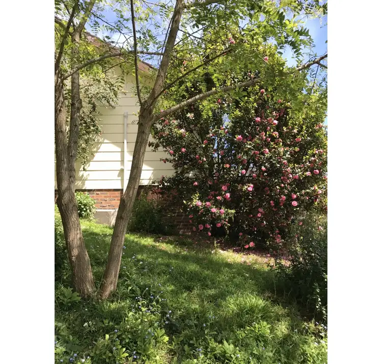 Fifth view of Homely rural property listing, Address available on request