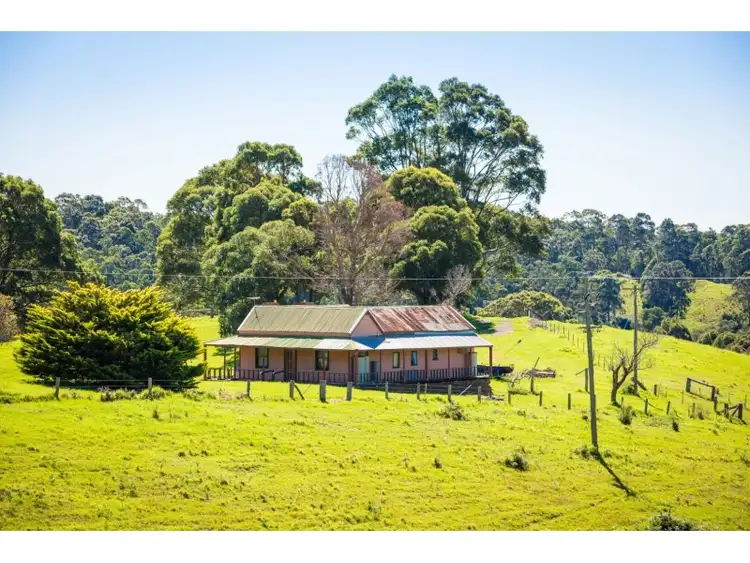Third view of Homely rural property listing, 302 Punkalla-Tilba Road, Central Tilba NSW 2546