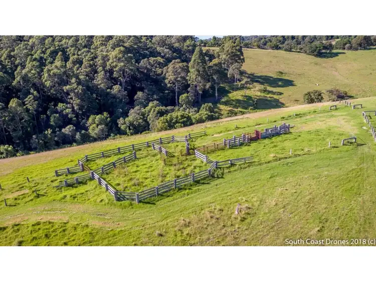 Fifth view of Homely rural property listing, 302 Punkalla-Tilba Road, Central Tilba NSW 2546