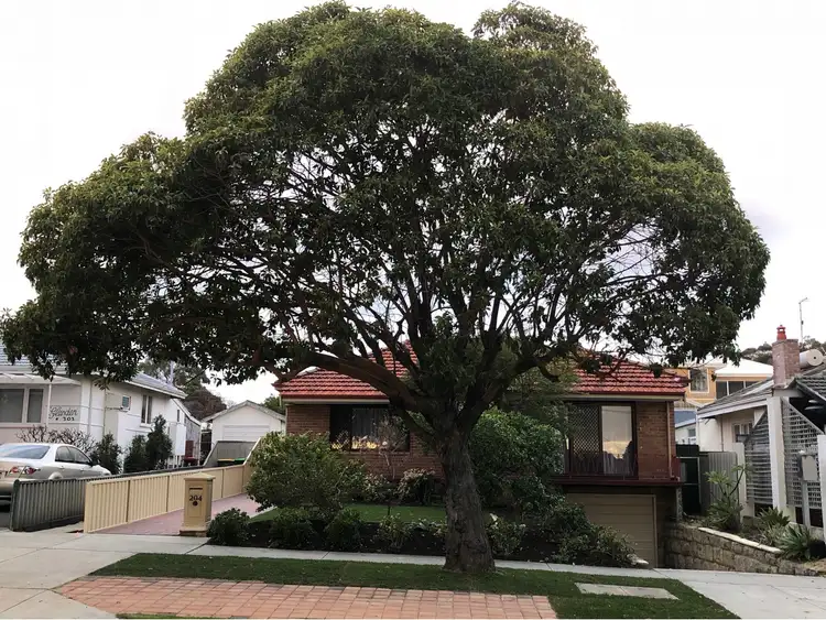 204 Gildercliffe Street, Scarborough WA 6019