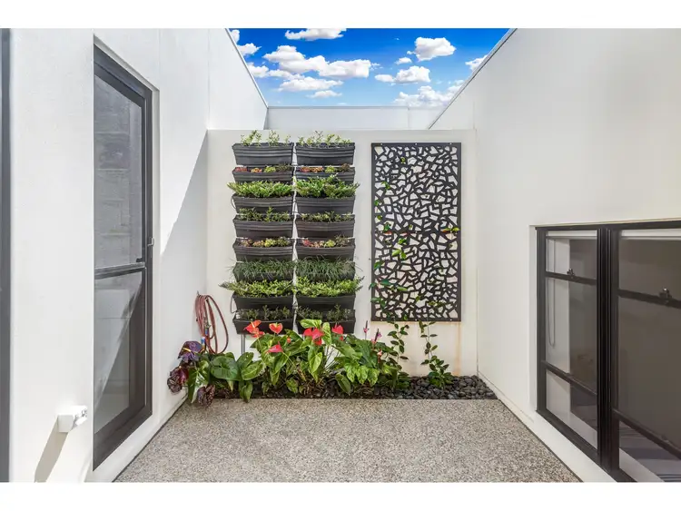 Sixth view of Homely house listing, 8 Pavilion Drive, Peregian Springs QLD 4573