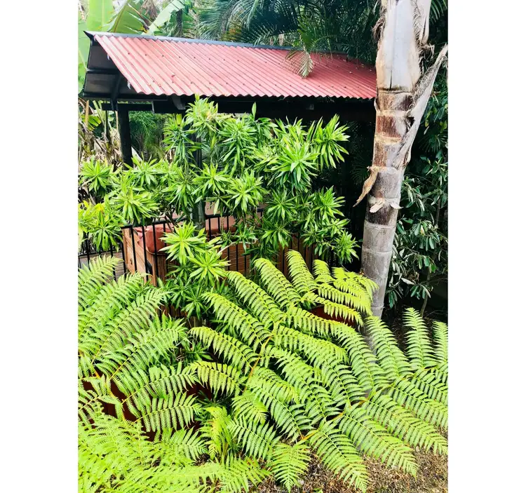 Sixth view of Homely house listing, 6-8 Ethel Close, Yeppoon QLD 4703