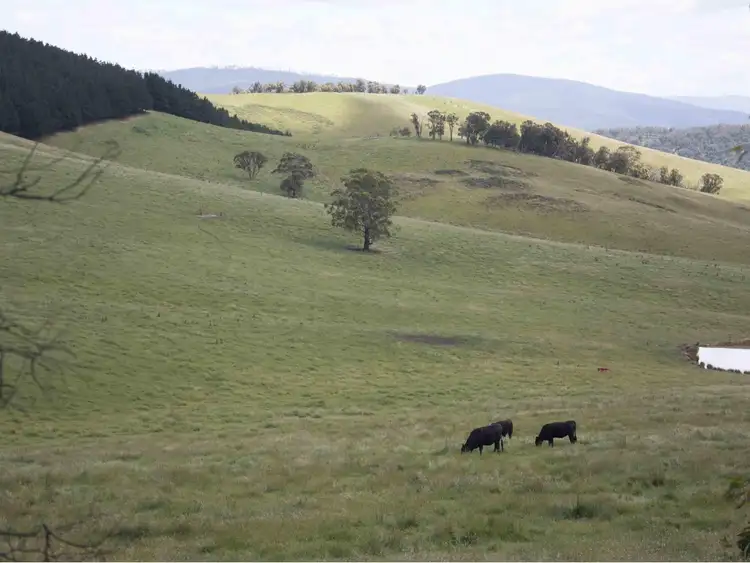Fifth view of Homely rural property listing, 390 Kangaroo Track, Cassilis VIC 3898