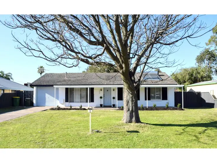 Second view of Homely house listing, 3 Jasminum Place, Pinjarra WA 6208
