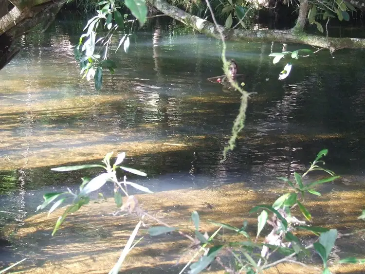 Sixth view of Homely rural property listing, Address available on request