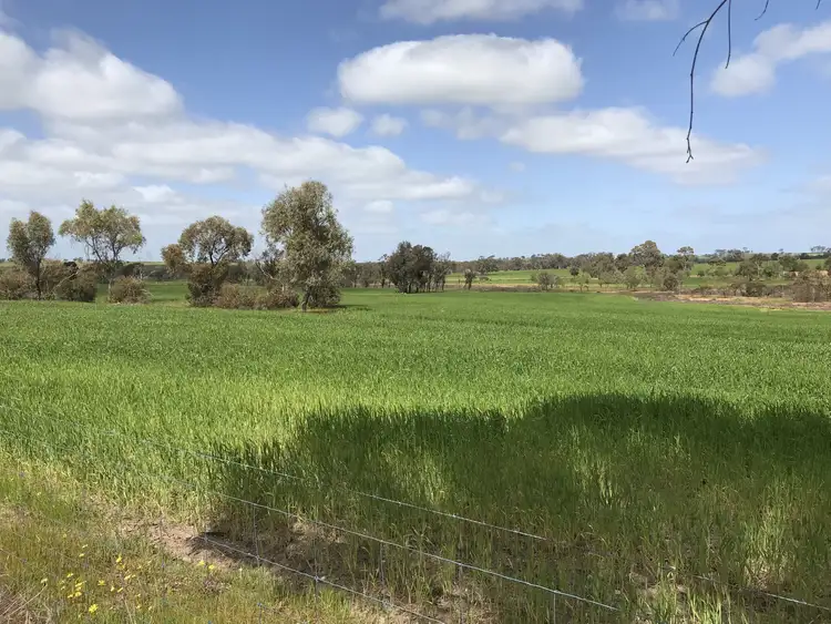 Second view of Homely rural property listing, 5727 Quairading Road, Mount Hardey WA 6302