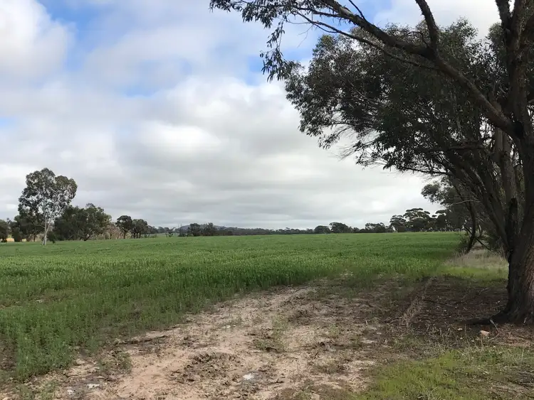 Fourth view of Homely rural property listing, 5727 Quairading Road, Mount Hardey WA 6302