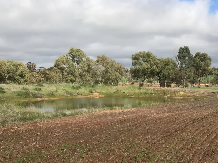 Fifth view of Homely rural property listing, 5727 Quairading Road, Mount Hardey WA 6302